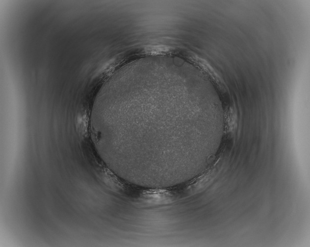 X0000113580427200909181311