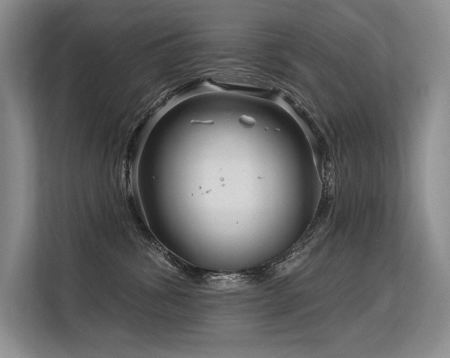 X0000113580428200909181311