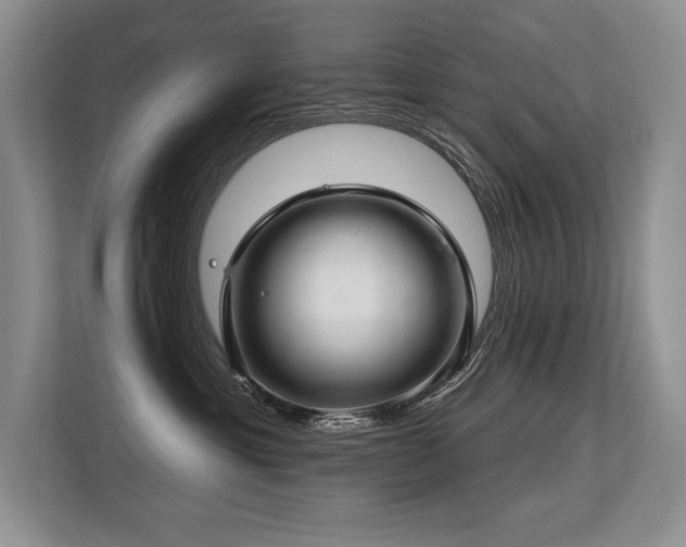X0000113580429200909181311