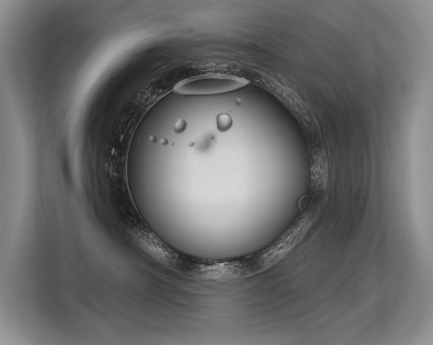 X0000113580430200909181311