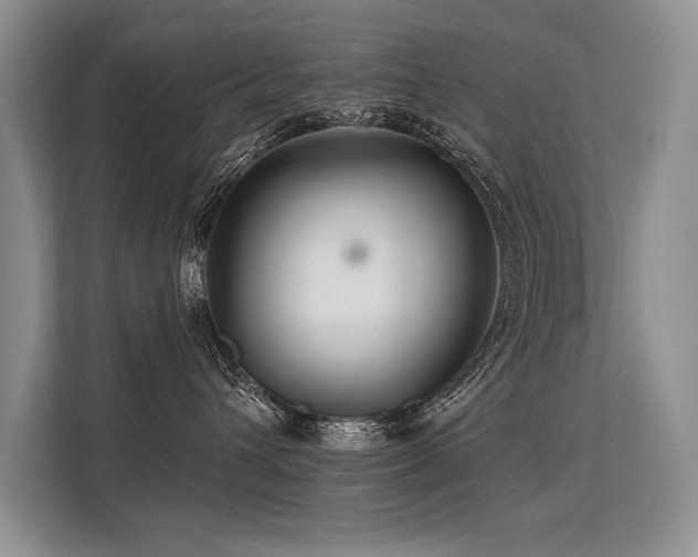 X0000113580432200909181311