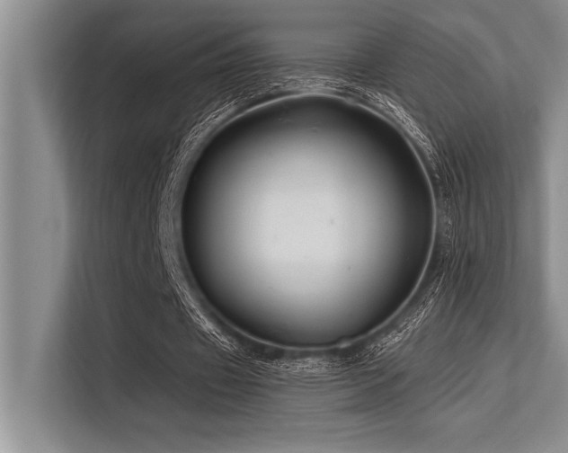 X0000113580433200909181310