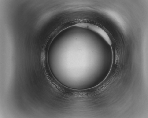 X0000113580435200909181310
