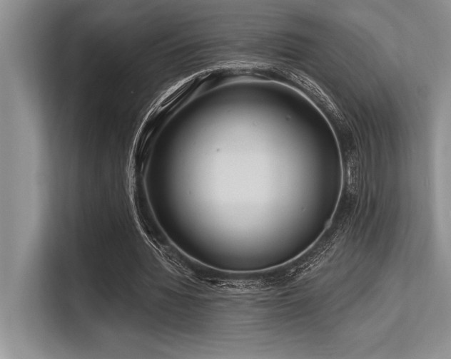 X0000113580436200909181310
