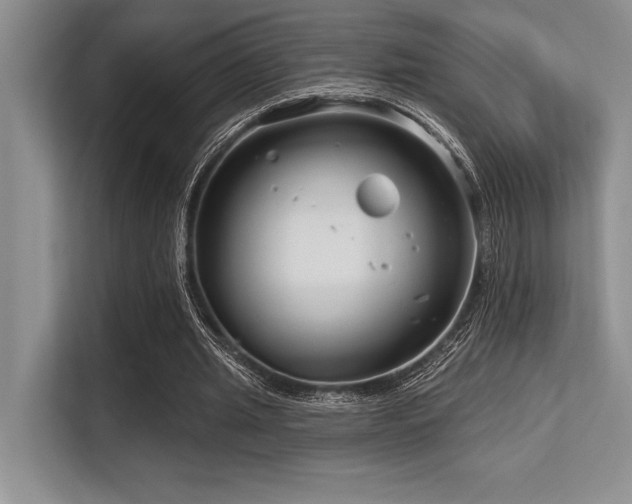 X0000113580437200909181310