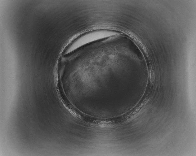 X0000113580438200909181310