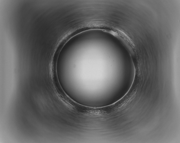 X0000113580439200909181310