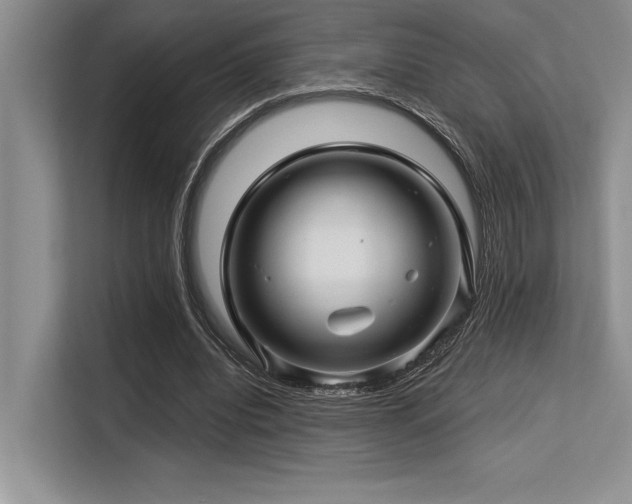 X0000113580440200909181310