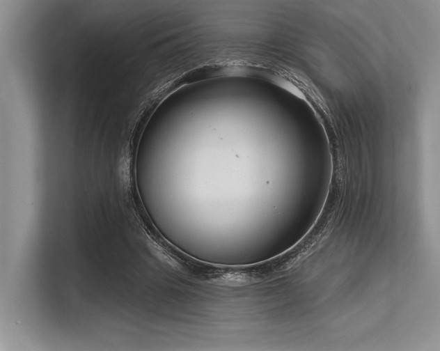 X0000113580441200909181310