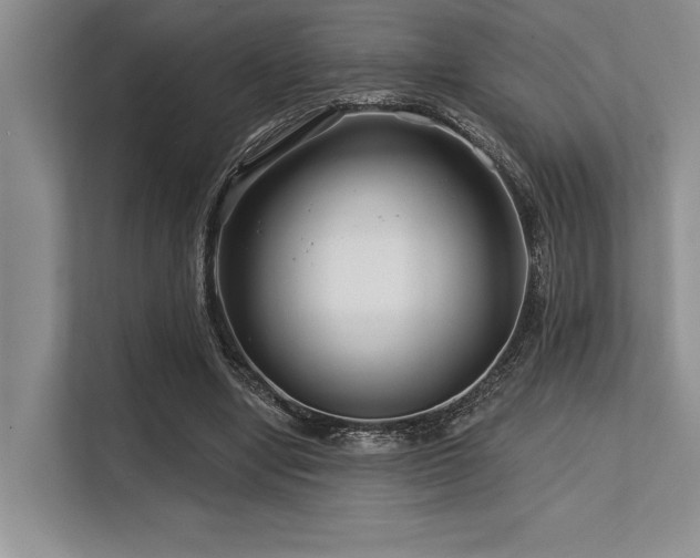 X0000113580442200909181310