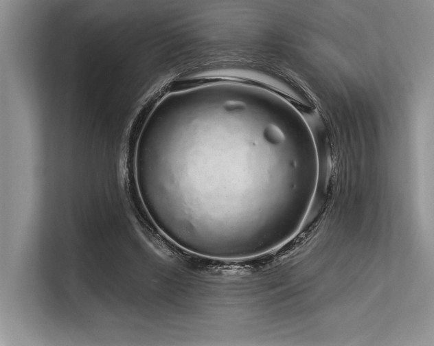 X0000113580443200909181310