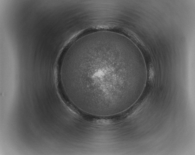 X0000113580444200909181310