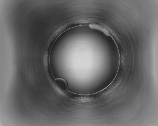 X0000113580445200909181310