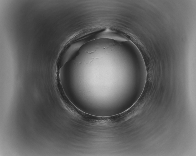 X0000113580446200909181310