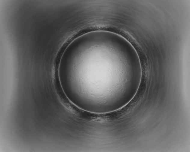 X0000113580447200909181310