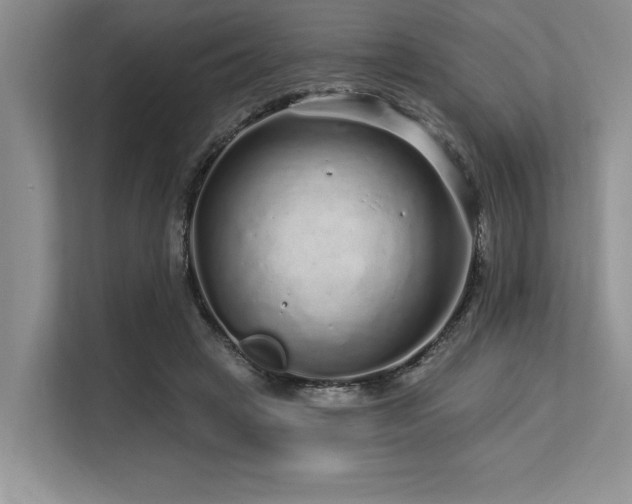 X0000113580449200909181310