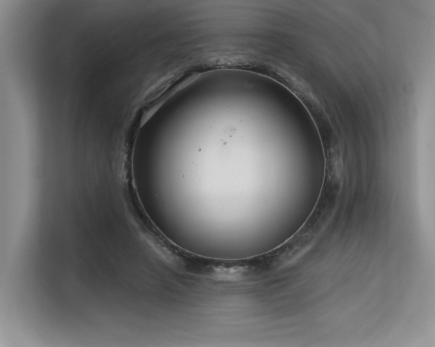 X0000113580450200909181310