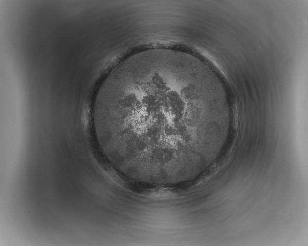 X0000113580451200909181310