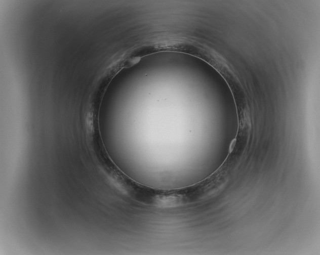 X0000113580452200909181310