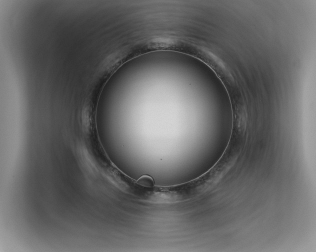 X0000113580455200909181310