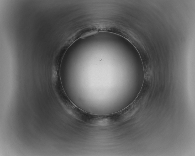 X0000113580456200909181310