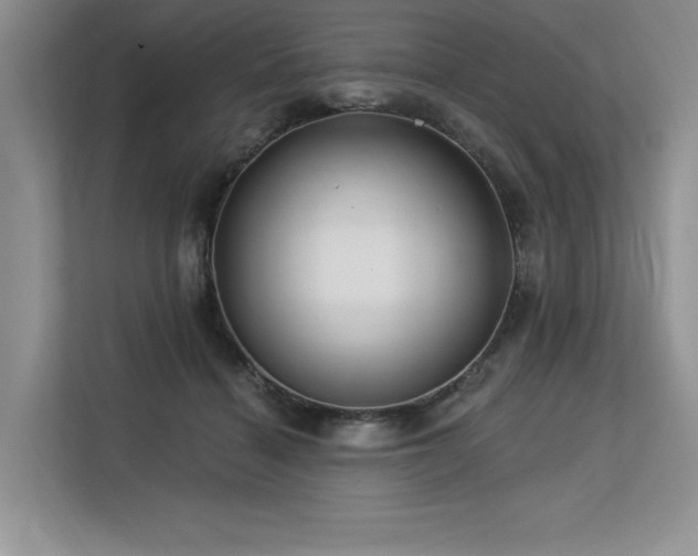 X0000113580460200909181310