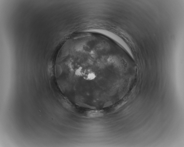 X0000113580465200909181311
