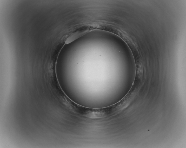 X0000113580466200909181311