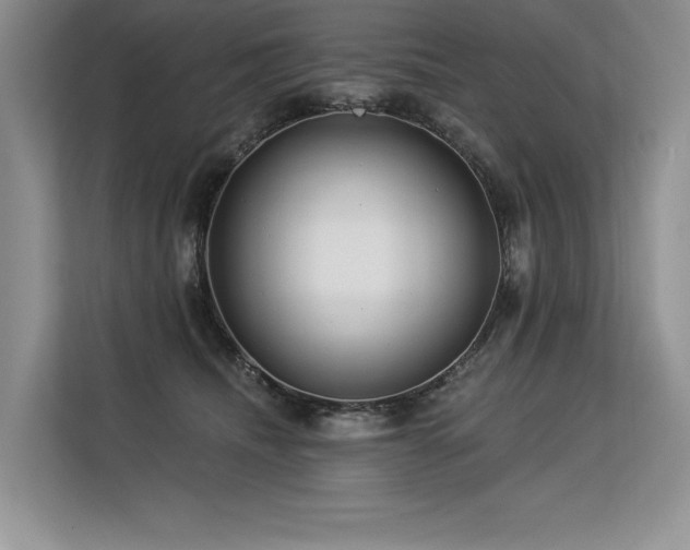 X0000113580468200909181311