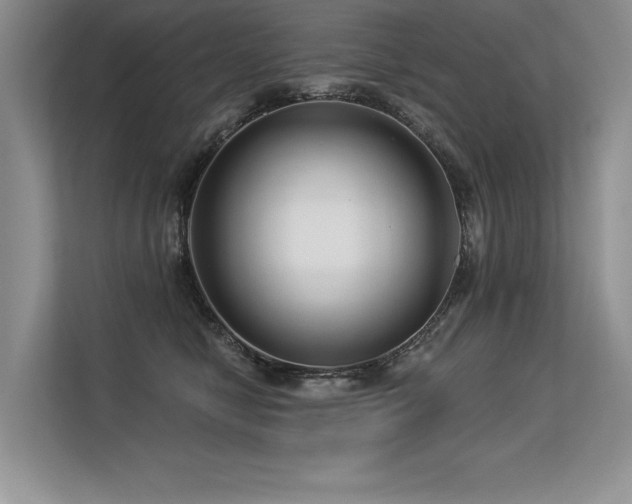 X0000113580470200909181311