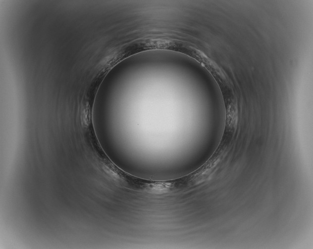 X0000113580474200909181311