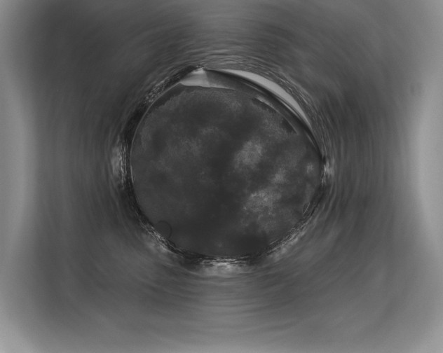 X0000113580475200909181311