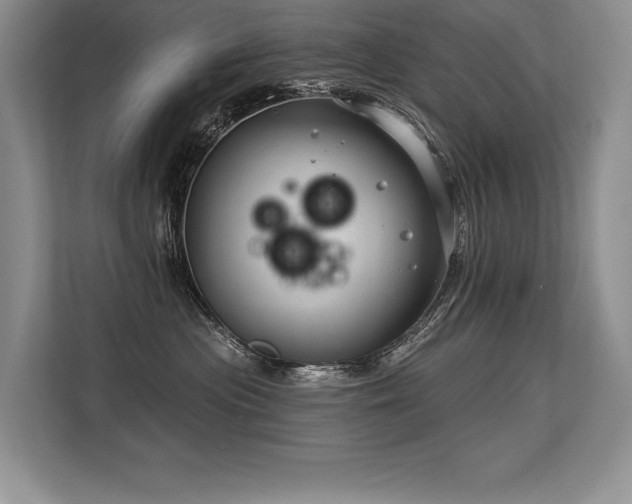 X0000113580477200909181311