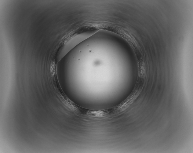 X0000113580478200909181311