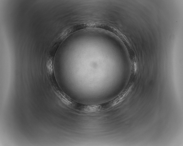 X0000113580479200909181311