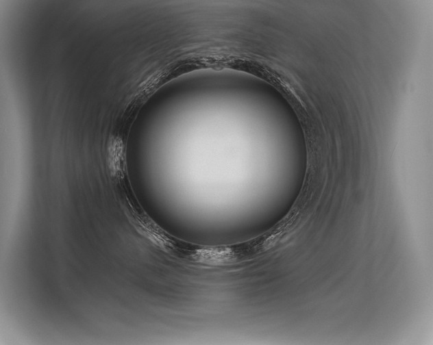 X0000113580480200909181311