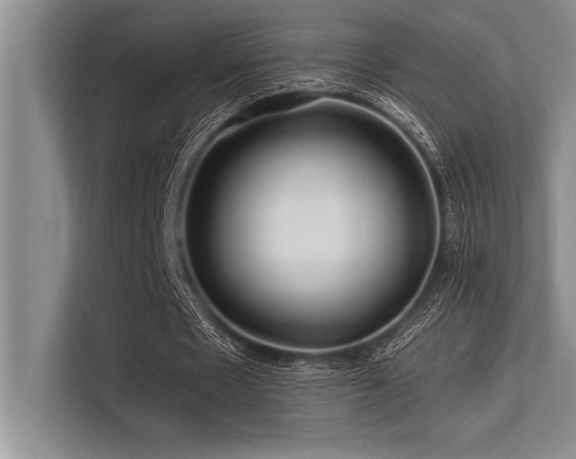 X0000113580481200909181310