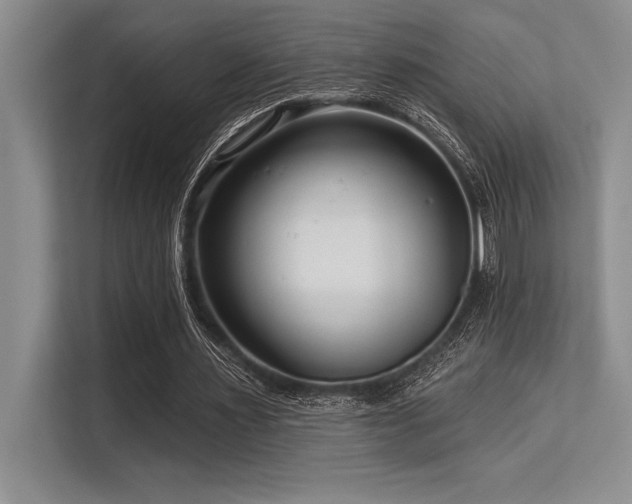 X0000113580483200909181310