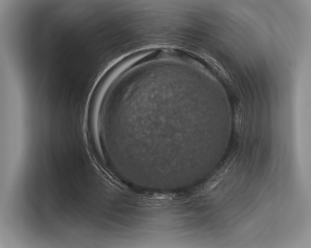 X0000113580484200909181310