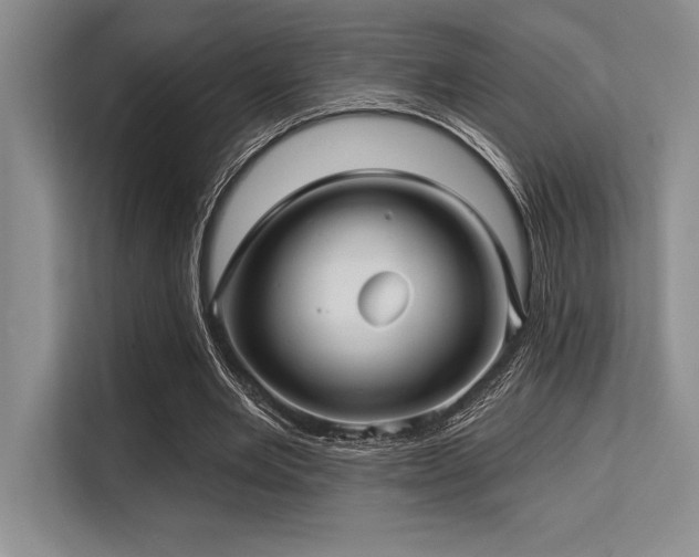 X0000113580485200909181310