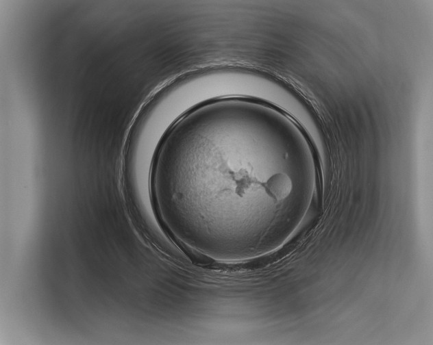 X0000113580488200909181310