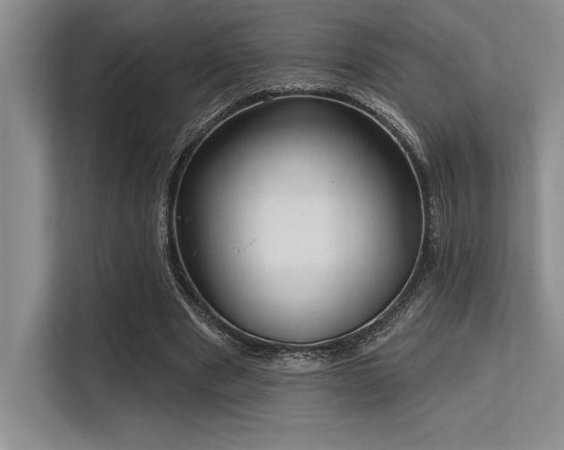 X0000113580489200909181310