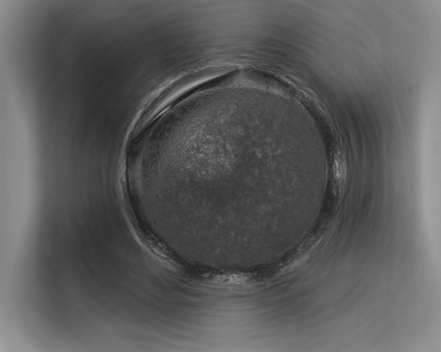 X0000113580492200909181310