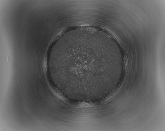 X0000113580494200909181310