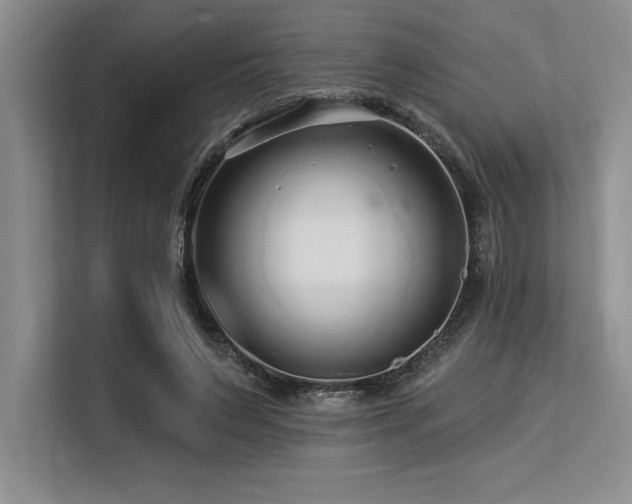 X0000113580495200909181310