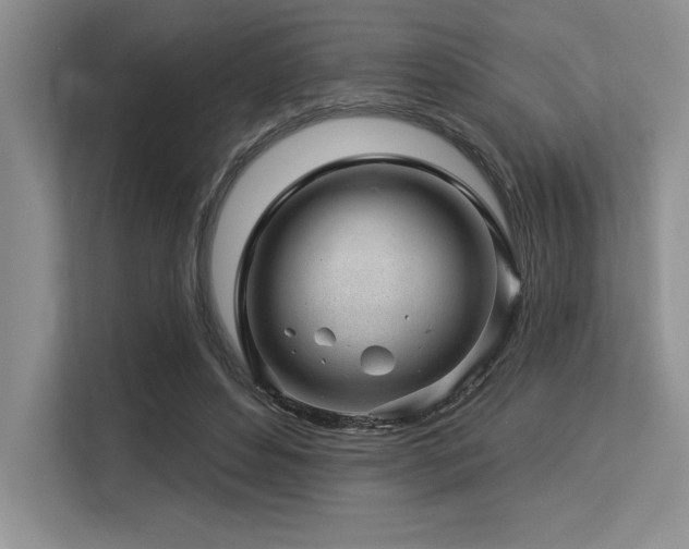 X0000113580496200909181310
