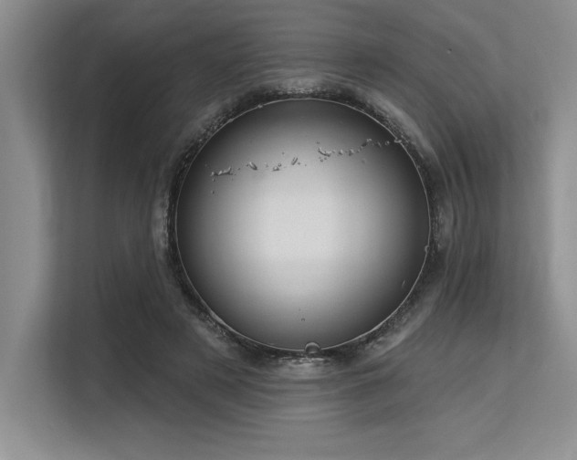 X0000113580497200909181310