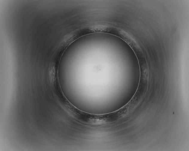 X0000113580498200909181310