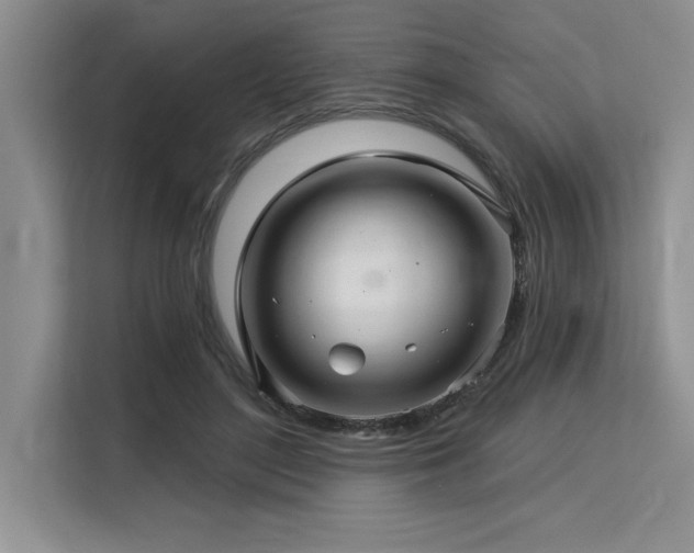 X0000113580500200909181310