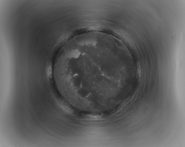 X0000113580502200909181310